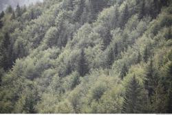 Photo of Mixed Textures